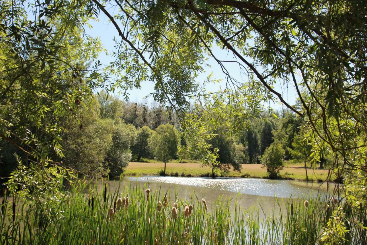 La Bergerie Du Domaine Des Buissonnets Villa Écardenville-sur-Eure Екстериор снимка